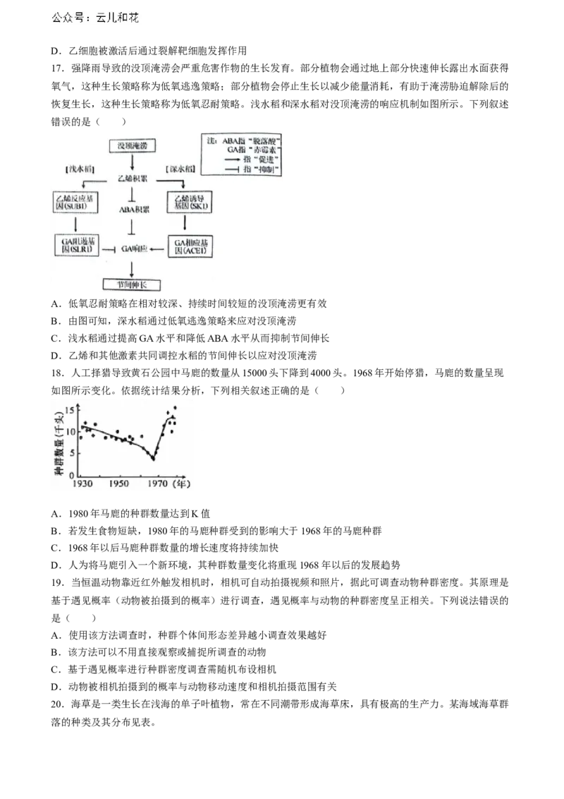 安徽省省十联考（合肥一中）2024年高二下学期7月期末生物试题_2024-2025高二（7-7月题库）_2024年07月试卷_0711安徽省省十联考（合肥一中）2024年高二下学期7月期末