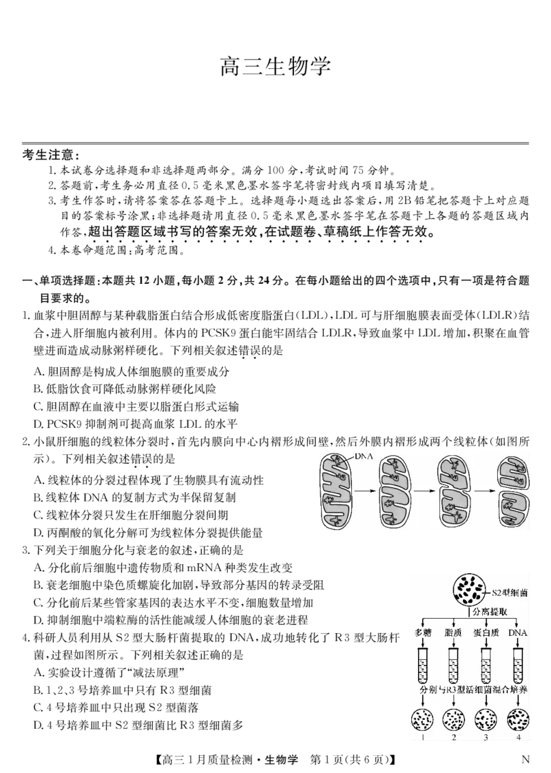 生物-1月质量检测（N）_2024年2月_01每日更新_08号_2024届九师联盟高三上学期1月质量检测试_九师联盟2024届高三上学期1月质量检测试生物（N）