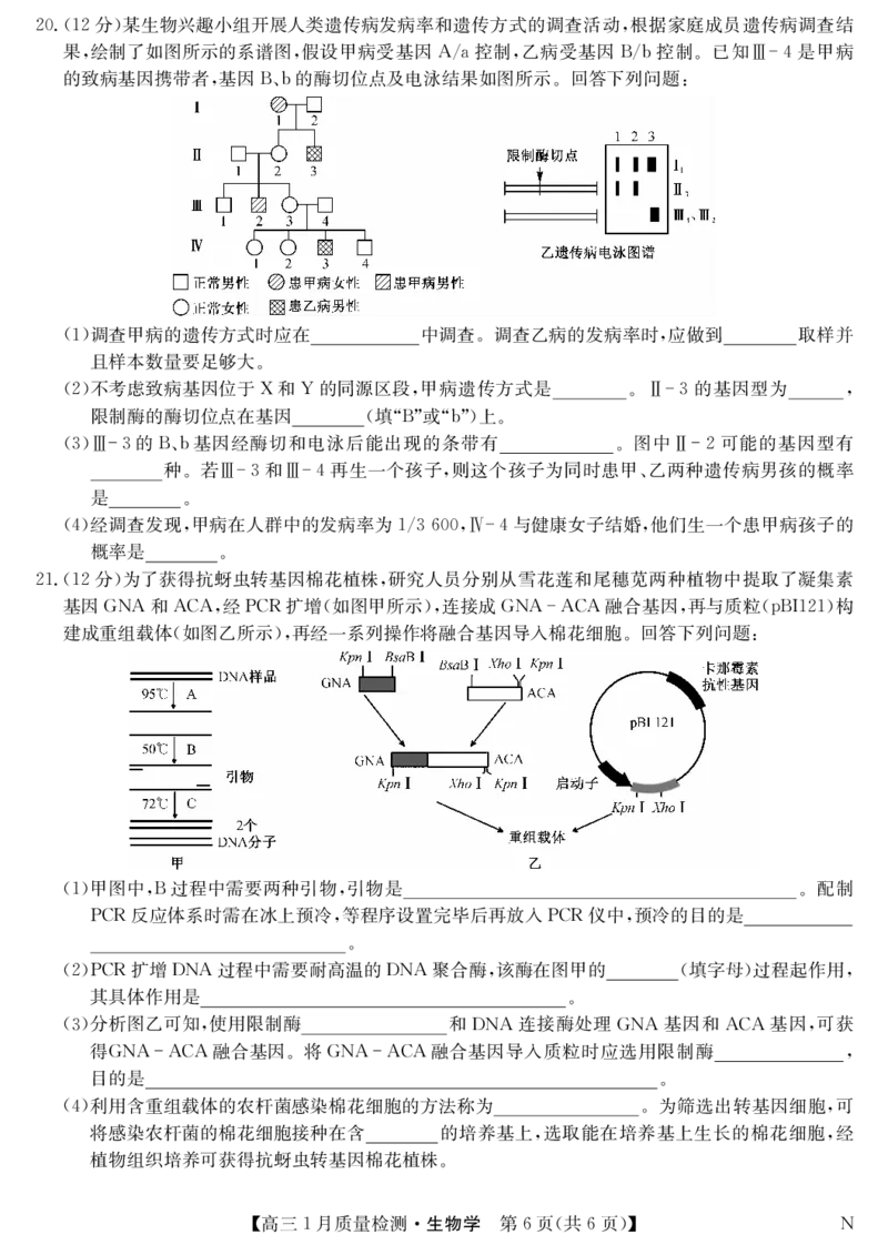 生物-1月质量检测（N）_2024年2月_01每日更新_08号_2024届九师联盟高三上学期1月质量检测试_九师联盟2024届高三上学期1月质量检测试生物（N）
