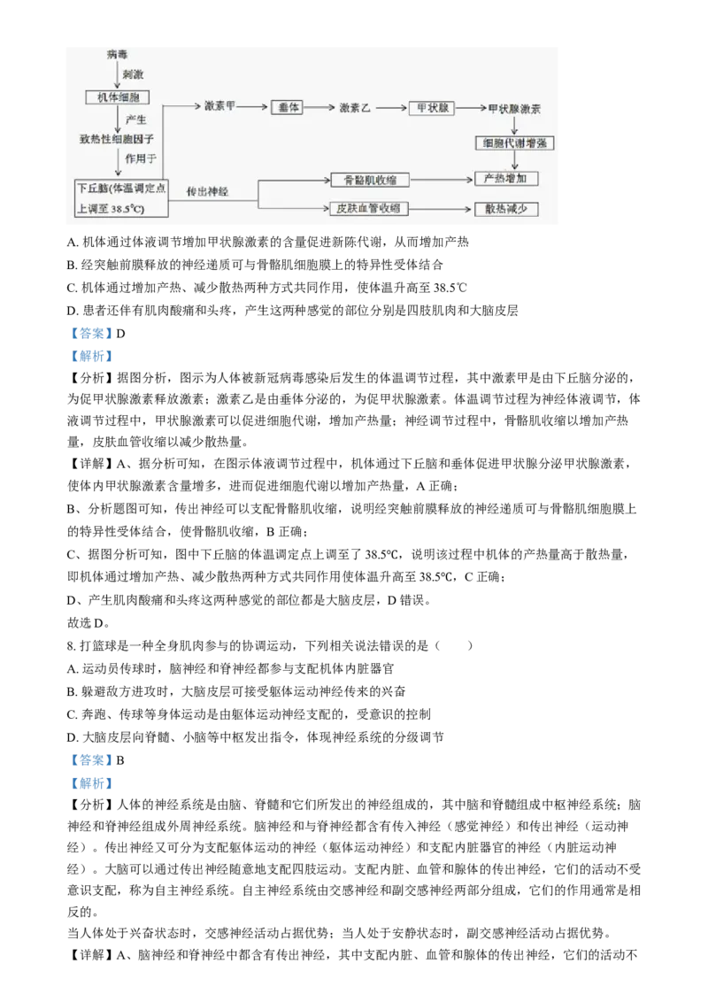 湖南省岳阳市岳阳县第一中学2024-2025学年高二上学期12月月考生物试题（解析版）_2024-2025高二（7-7月题库）_2025年01月试卷