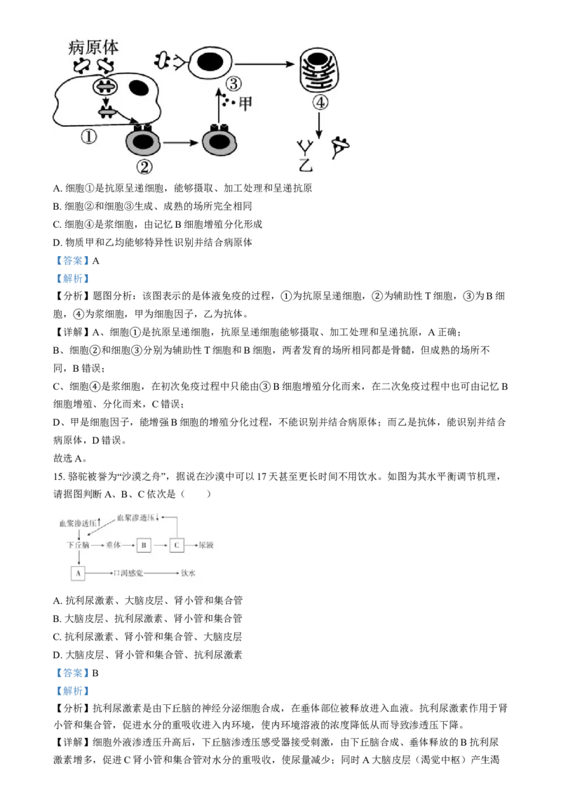 湖南省岳阳市岳阳县第一中学2024-2025学年高二上学期12月月考生物试题（解析版）_2024-2025高二（7-7月题库）_2025年01月试卷