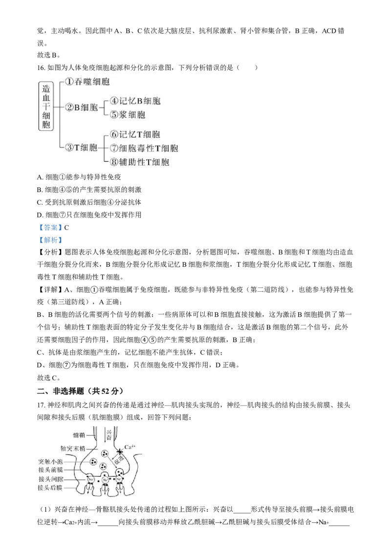 湖南省岳阳市岳阳县第一中学2024-2025学年高二上学期12月月考生物试题（解析版）_2024-2025高二（7-7月题库）_2025年01月试卷