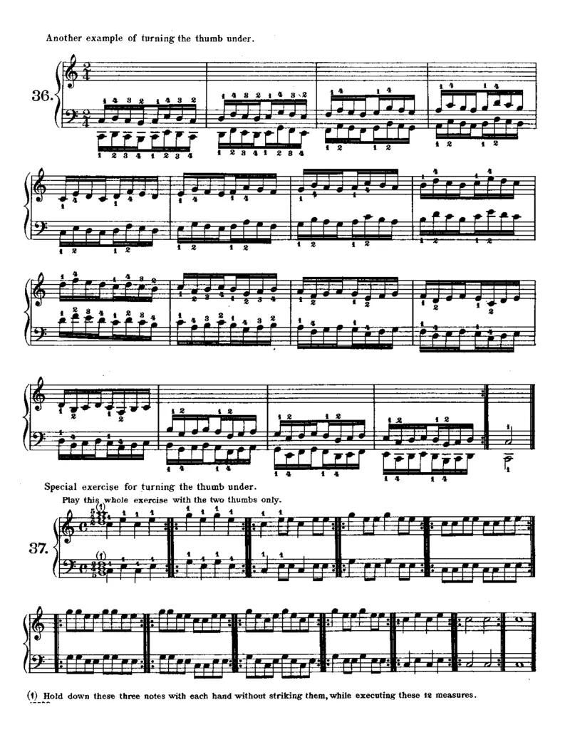 TheVirtuoso-PianistII_一万首著名钢琴曲谱哈农贝多芬合集视频教学电子版高清无水印可打印_09钢琴教材合集_常用教材钢琴谱（80+本）