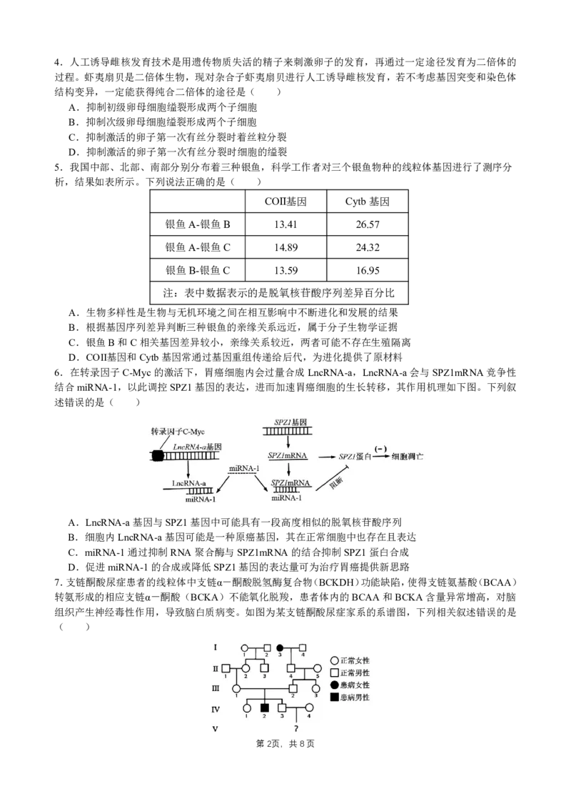成都石室中学2025年高考适应性测试演练模拟考试生物_2024-2025高三（6-6月题库）_2024年12月试卷_1228四川省成都石室中学2025年高考适应性测试演练模拟考试（八省联考模拟）（全）