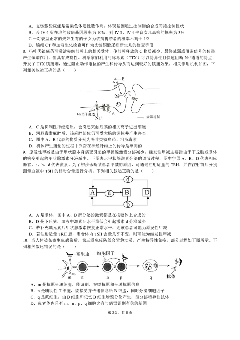 成都石室中学2025年高考适应性测试演练模拟考试生物_2024-2025高三（6-6月题库）_2024年12月试卷_1228四川省成都石室中学2025年高考适应性测试演练模拟考试（八省联考模拟）（全）