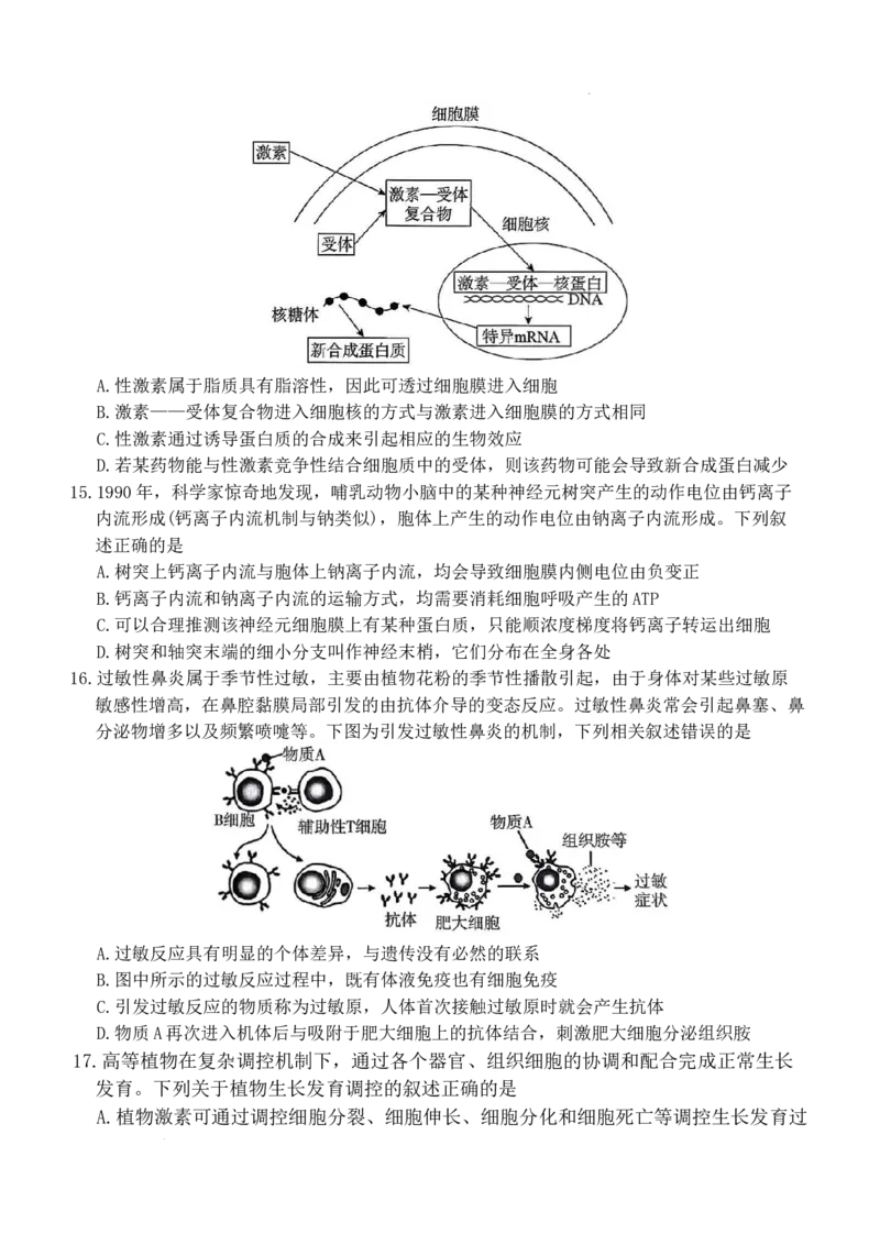 河北省名校联盟2025-2026学年高二上学期1月期末考试生物试题含答案_2024-2025高二（7-7月题库）_2026年1月高二_260127河北省名校联盟2025-2026学年高二上学期1月期末考试（全）