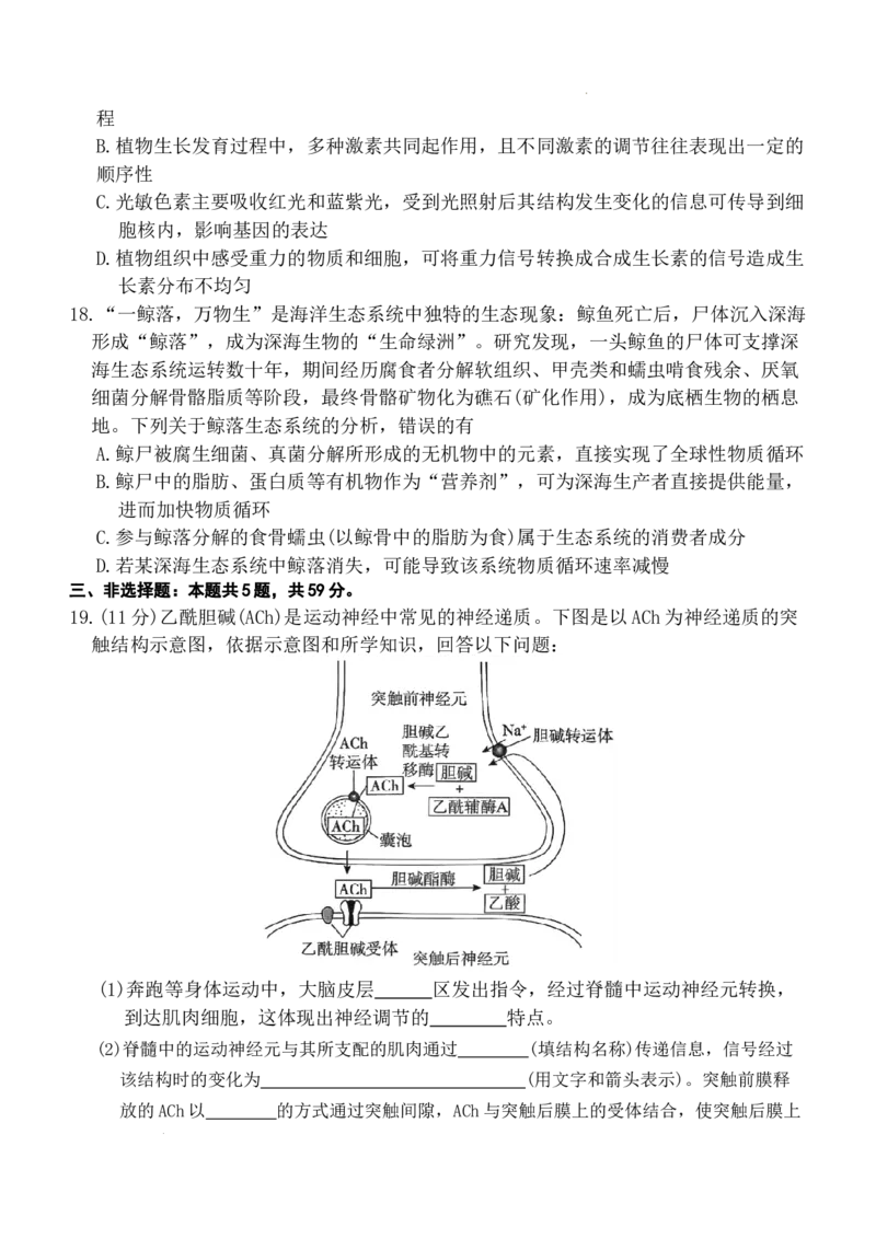河北省名校联盟2025-2026学年高二上学期1月期末考试生物试题含答案_2024-2025高二（7-7月题库）_2026年1月高二_260127河北省名校联盟2025-2026学年高二上学期1月期末考试（全）