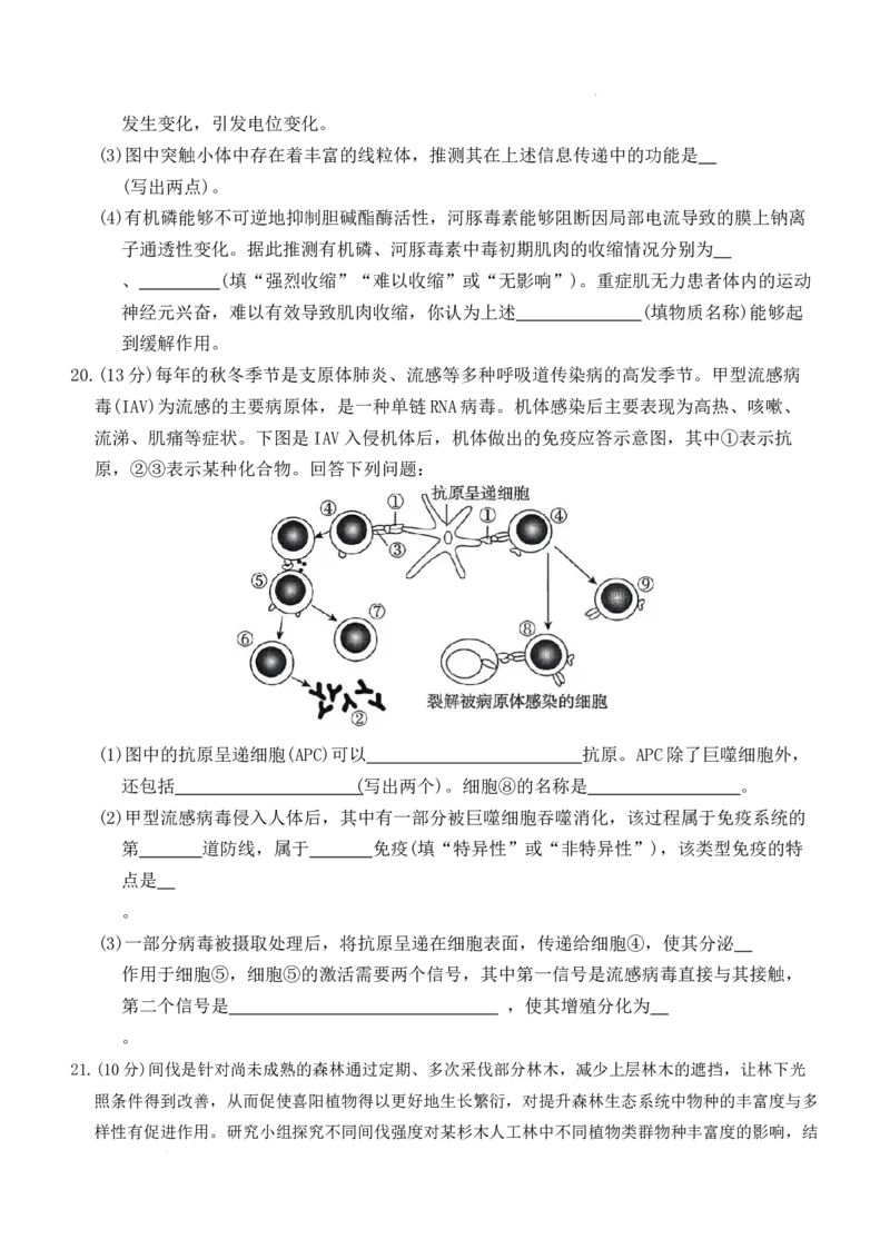 河北省名校联盟2025-2026学年高二上学期1月期末考试生物试题含答案_2024-2025高二（7-7月题库）_2026年1月高二_260127河北省名校联盟2025-2026学年高二上学期1月期末考试（全）