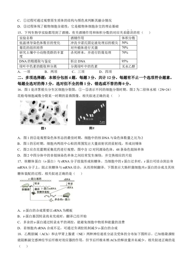 江苏省南通市通州区、如东县2025届高三上学期期中联考生物_2024-2025高三（6-6月题库）_2024年11月试卷_1130江苏省南通市通州区、如东县2025届高三上学期期中联考
