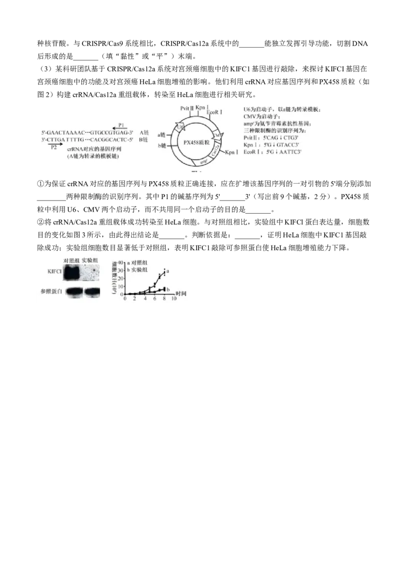 江苏省南通市通州区、如东县2025届高三上学期期中联考生物_2024-2025高三（6-6月题库）_2024年11月试卷_1130江苏省南通市通州区、如东县2025届高三上学期期中联考