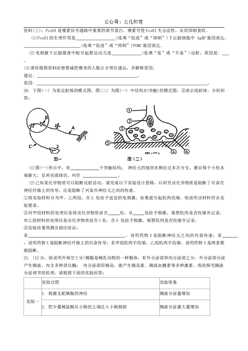 广东省三校2024~2025学年高二上学期第一次质量检测生物试题_2024-2025高二（7-7月题库）_2024年10月试卷_1030广东省三校2024-2025学年高二上学期第一次质量检测