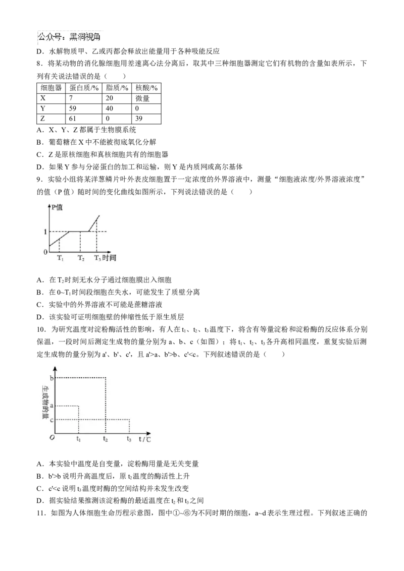 四川省成都列五中学2024-2025学年高三上学期入学摸底测试生物试题Word版含答案_2024-2025高三（6-6月题库）_2024年09月试卷_0910四川省成都列五中学2024-2025学年高三上学期入学摸底测试