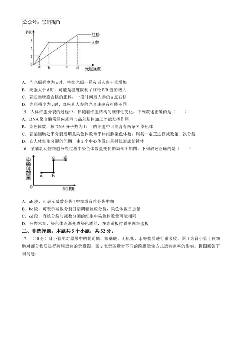 四川省成都列五中学2024-2025学年高三上学期入学摸底测试生物试题Word版含答案_2024-2025高三（6-6月题库）_2024年09月试卷_0910四川省成都列五中学2024-2025学年高三上学期入学摸底测试
