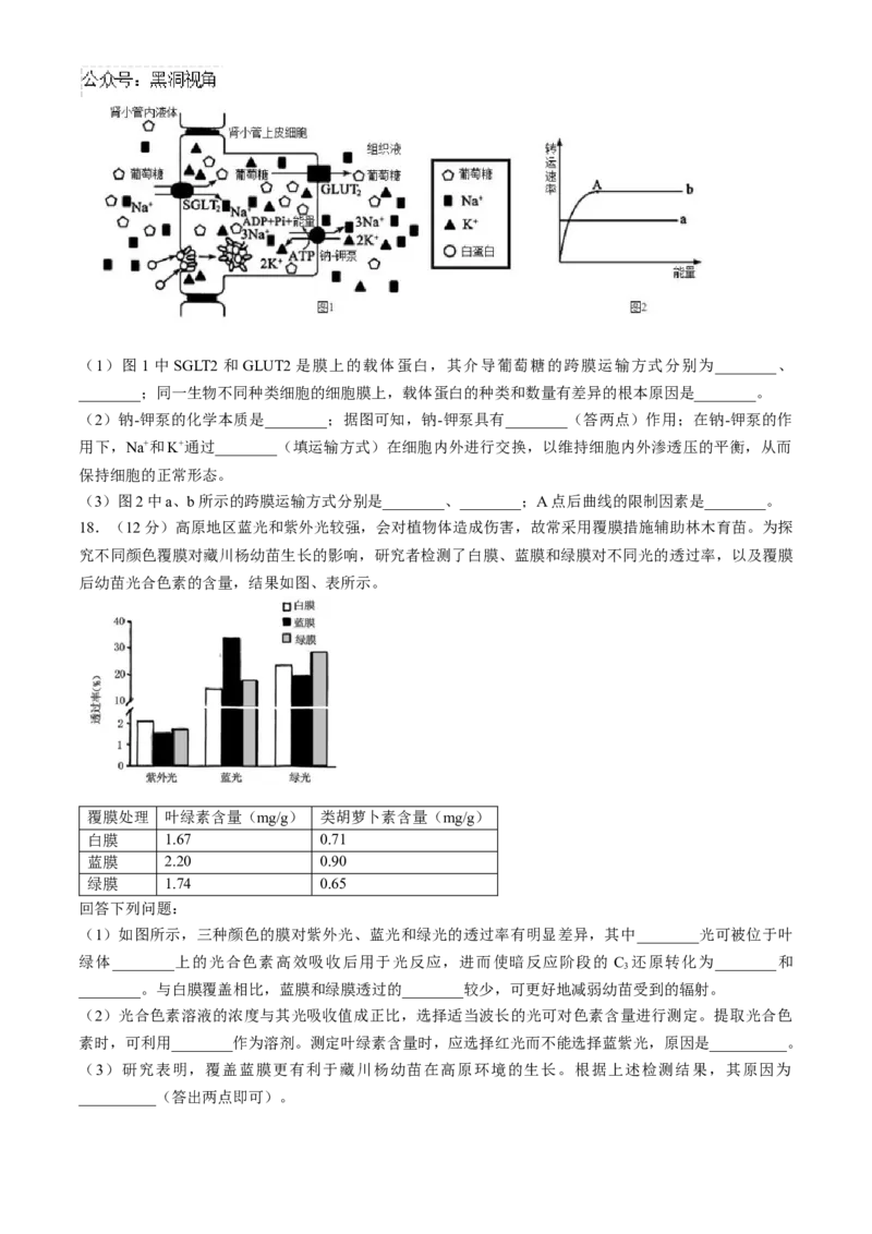 四川省成都列五中学2024-2025学年高三上学期入学摸底测试生物试题Word版含答案_2024-2025高三（6-6月题库）_2024年09月试卷_0910四川省成都列五中学2024-2025学年高三上学期入学摸底测试