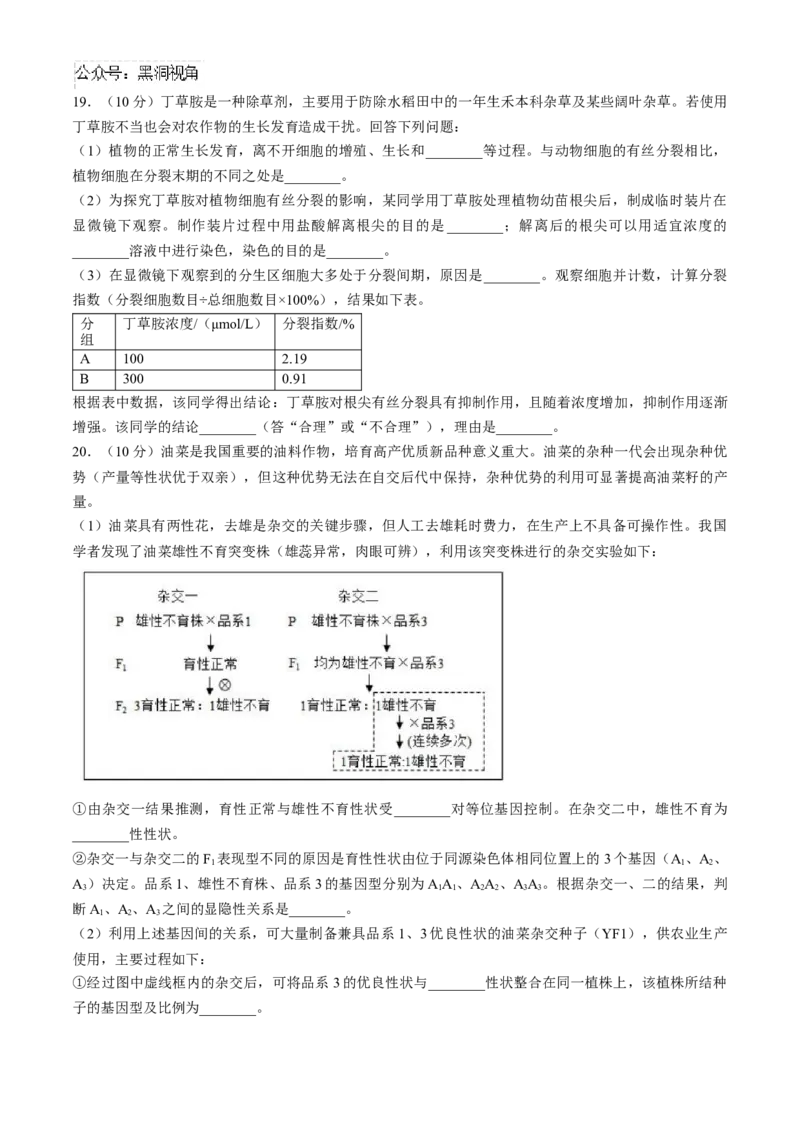 四川省成都列五中学2024-2025学年高三上学期入学摸底测试生物试题Word版含答案_2024-2025高三（6-6月题库）_2024年09月试卷_0910四川省成都列五中学2024-2025学年高三上学期入学摸底测试