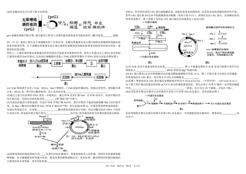 四川省成都市树德中学2024-2025学年高二下学期5月月考试题生物PDF版含答案（可编辑）_2024-2025高二（7-7月题库）_2025年05月试卷