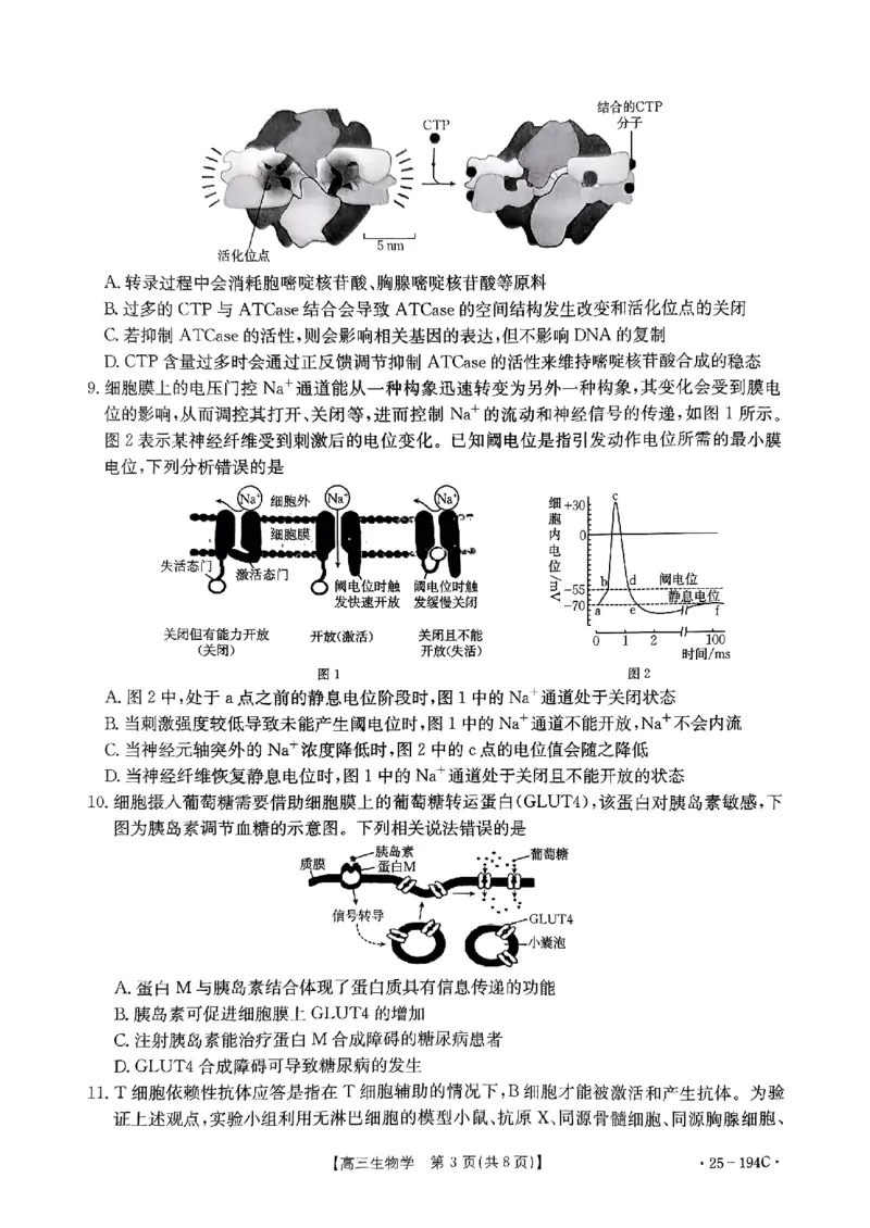 河南省2024-2025学年高三上学期联考生物_2024-2025高三（6-6月题库）_2024年12月试卷_1227河南省金太阳12月高三联考（25-194C）