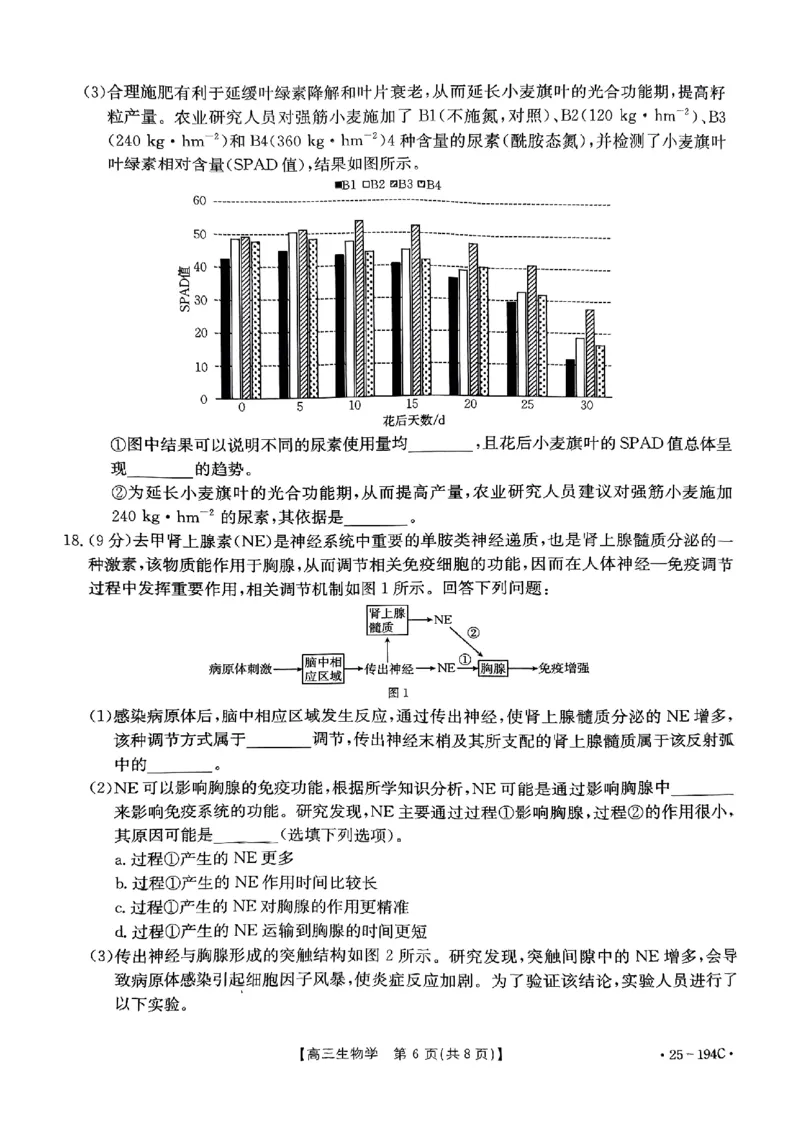 河南省2024-2025学年高三上学期联考生物_2024-2025高三（6-6月题库）_2024年12月试卷_1227河南省金太阳12月高三联考（25-194C）