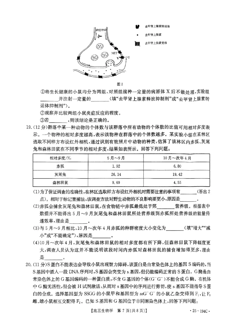河南省2024-2025学年高三上学期联考生物_2024-2025高三（6-6月题库）_2024年12月试卷_1227河南省金太阳12月高三联考（25-194C）