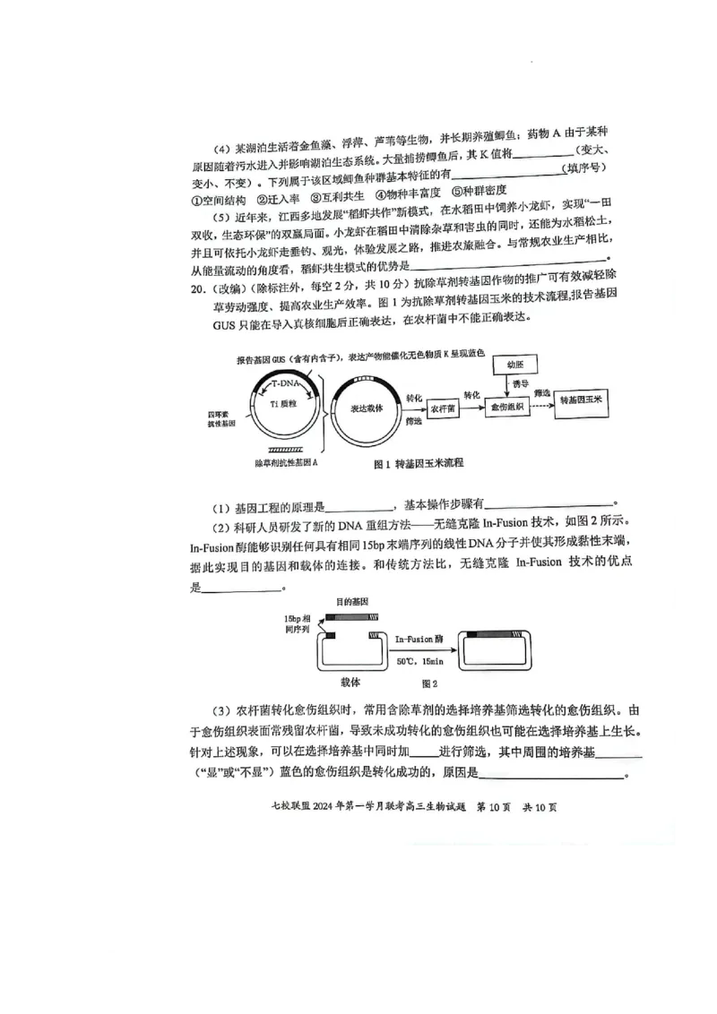 重庆市七校联盟2023-2024学年高三下学期第一次月考生物试题_2024年3月_013月合集_2024届重庆市七校联盟高三下学期第一次联考_重庆市七校联盟2023-2024学年高三下学期第一次月考生物试题