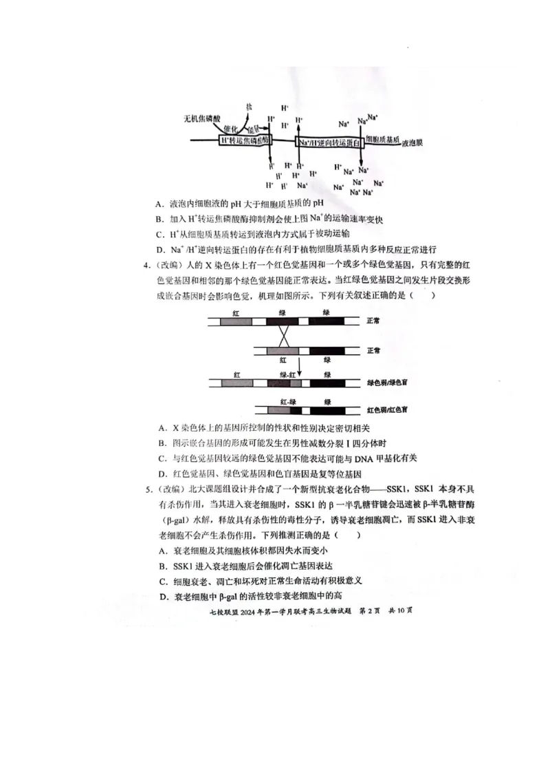 重庆市七校联盟2023-2024学年高三下学期第一次月考生物试题_2024年3月_013月合集_2024届重庆市七校联盟高三下学期第一次联考_重庆市七校联盟2023-2024学年高三下学期第一次月考生物试题