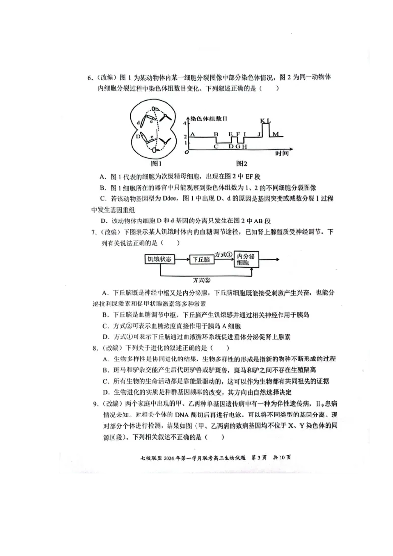 重庆市七校联盟2023-2024学年高三下学期第一次月考生物试题_2024年3月_013月合集_2024届重庆市七校联盟高三下学期第一次联考_重庆市七校联盟2023-2024学年高三下学期第一次月考生物试题