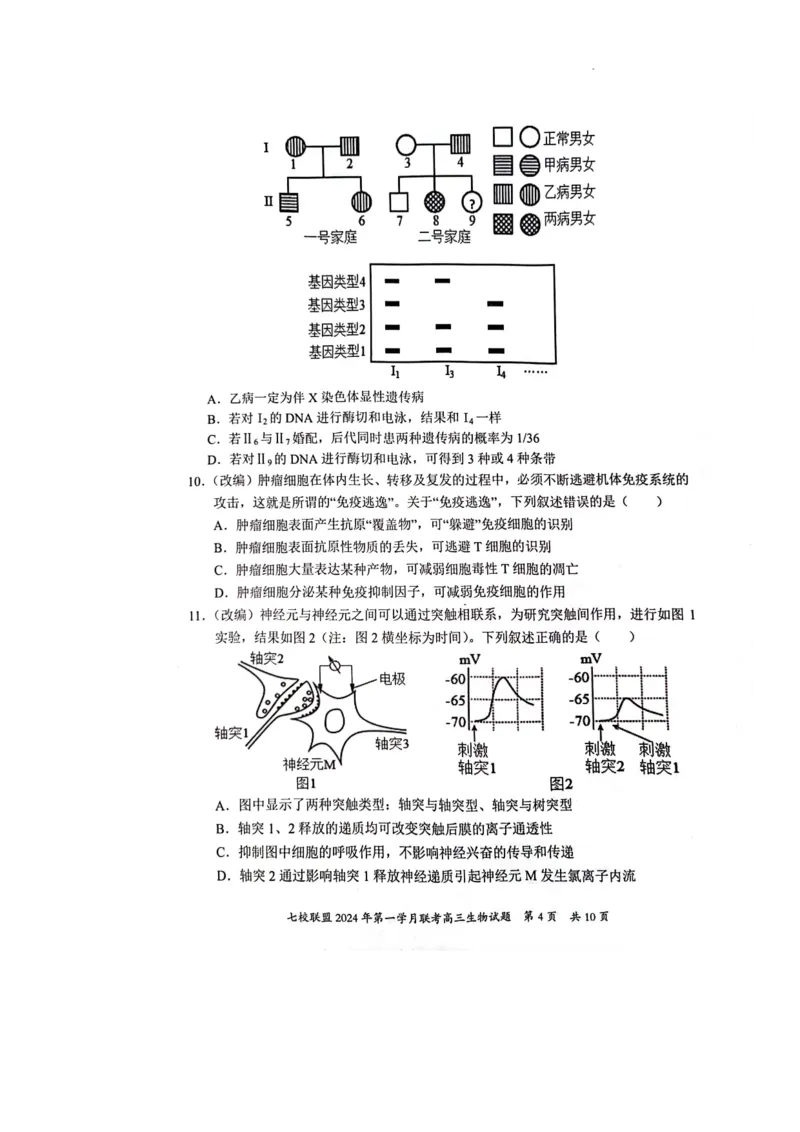 重庆市七校联盟2023-2024学年高三下学期第一次月考生物试题_2024年3月_013月合集_2024届重庆市七校联盟高三下学期第一次联考_重庆市七校联盟2023-2024学年高三下学期第一次月考生物试题