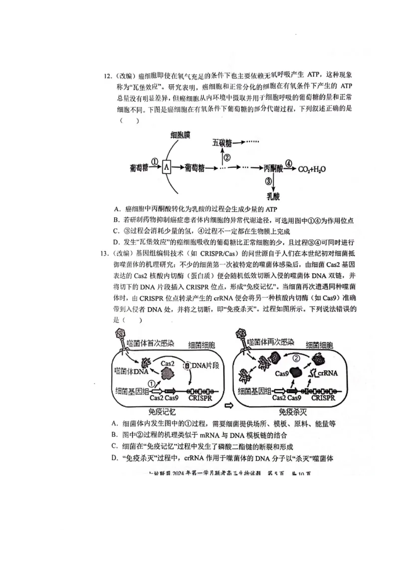 重庆市七校联盟2023-2024学年高三下学期第一次月考生物试题_2024年3月_013月合集_2024届重庆市七校联盟高三下学期第一次联考_重庆市七校联盟2023-2024学年高三下学期第一次月考生物试题