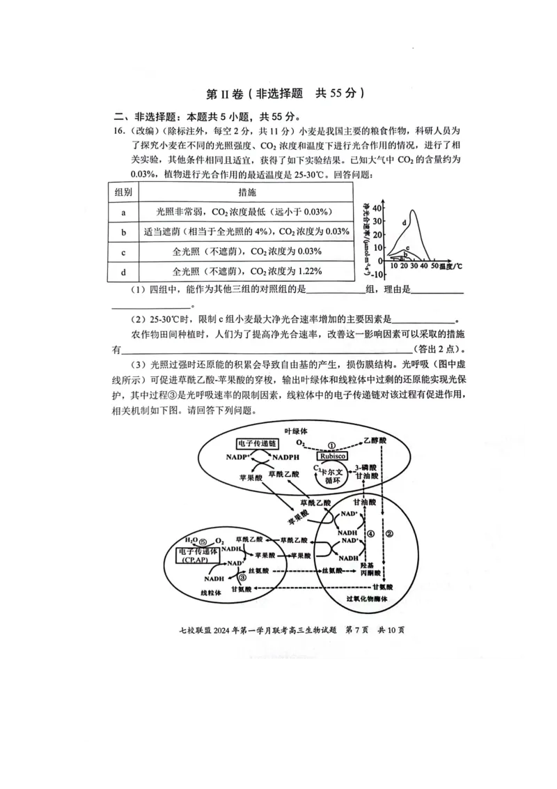 重庆市七校联盟2023-2024学年高三下学期第一次月考生物试题_2024年3月_013月合集_2024届重庆市七校联盟高三下学期第一次联考_重庆市七校联盟2023-2024学年高三下学期第一次月考生物试题