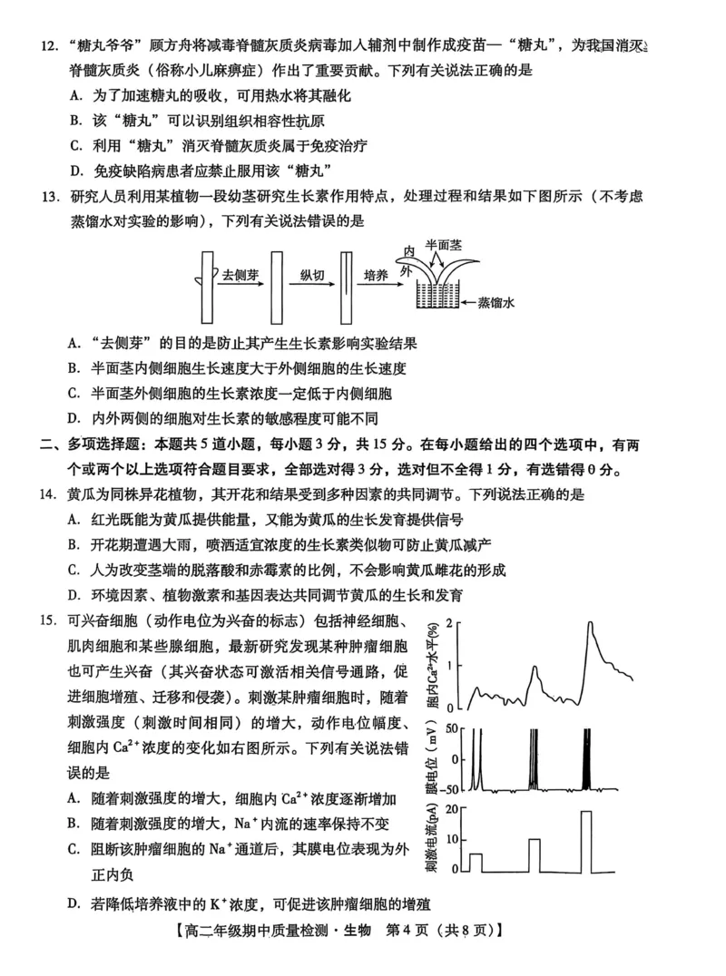 河北省沧衡名校联盟2025-2026学年高二上学期期中考试生物PDF版含解析_251222河北省沧衡名校联盟2025-2026学年高二上学期期中考试