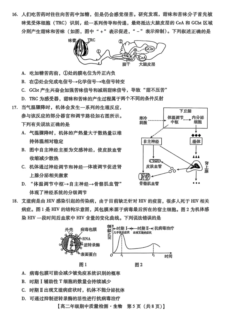 河北省沧衡名校联盟2025-2026学年高二上学期期中考试生物PDF版含解析_251222河北省沧衡名校联盟2025-2026学年高二上学期期中考试