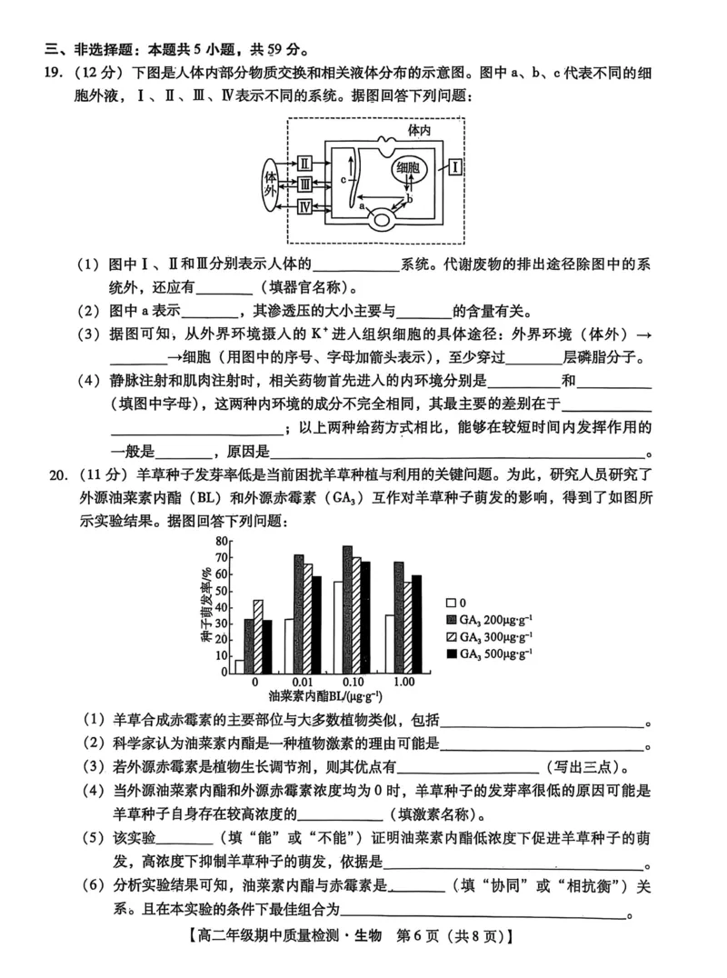河北省沧衡名校联盟2025-2026学年高二上学期期中考试生物PDF版含解析_251222河北省沧衡名校联盟2025-2026学年高二上学期期中考试