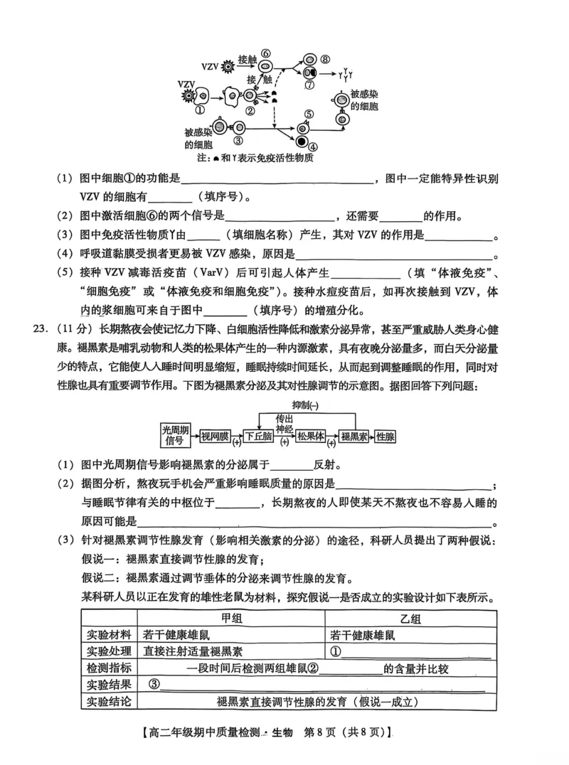 河北省沧衡名校联盟2025-2026学年高二上学期期中考试生物PDF版含解析_251222河北省沧衡名校联盟2025-2026学年高二上学期期中考试