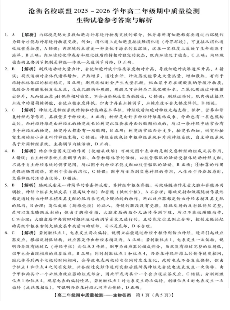 河北省沧衡名校联盟2025-2026学年高二上学期期中考试生物PDF版含解析_251222河北省沧衡名校联盟2025-2026学年高二上学期期中考试