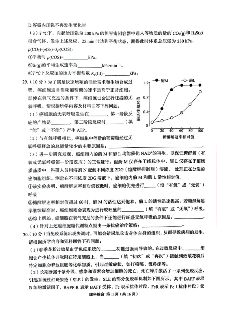 理科综合试题_2024年5月_01按日期_23号_2024届陕西省菁师联盟高三5月份适应性考试_2024届陕西省部分学校高三下学期5月份高考适应性考试理科综合试题