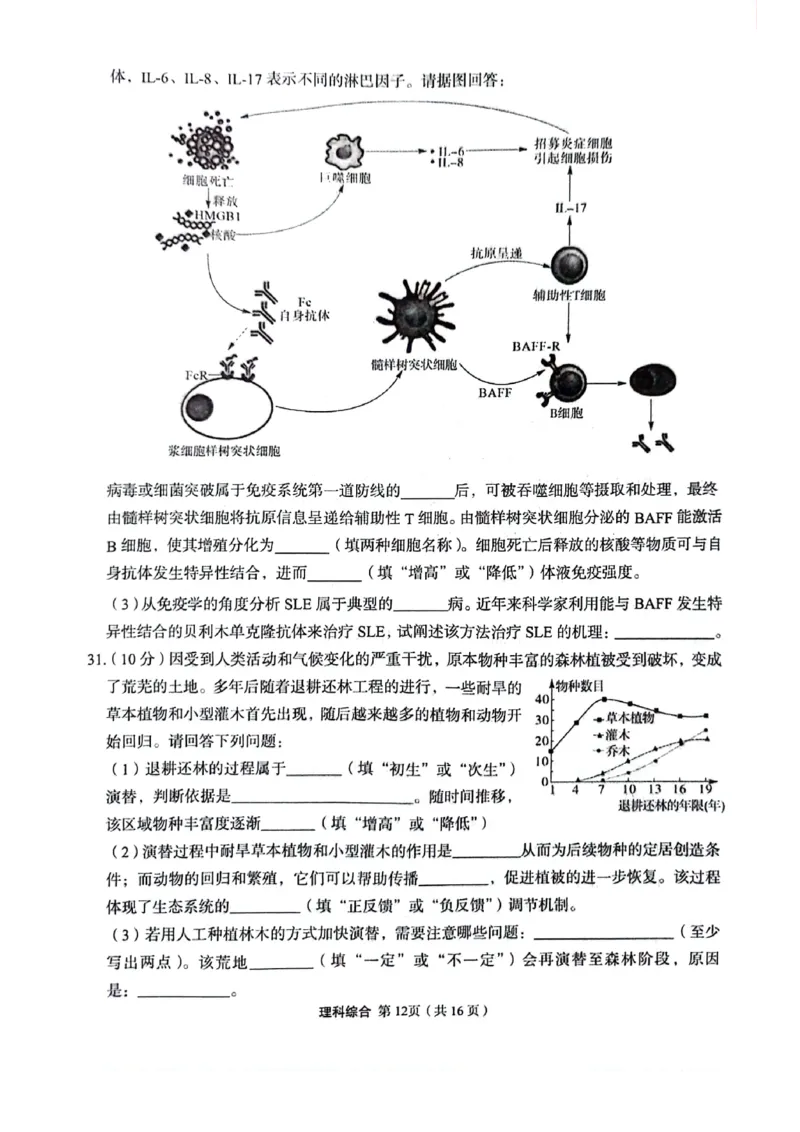 理科综合试题_2024年5月_01按日期_23号_2024届陕西省菁师联盟高三5月份适应性考试_2024届陕西省部分学校高三下学期5月份高考适应性考试理科综合试题