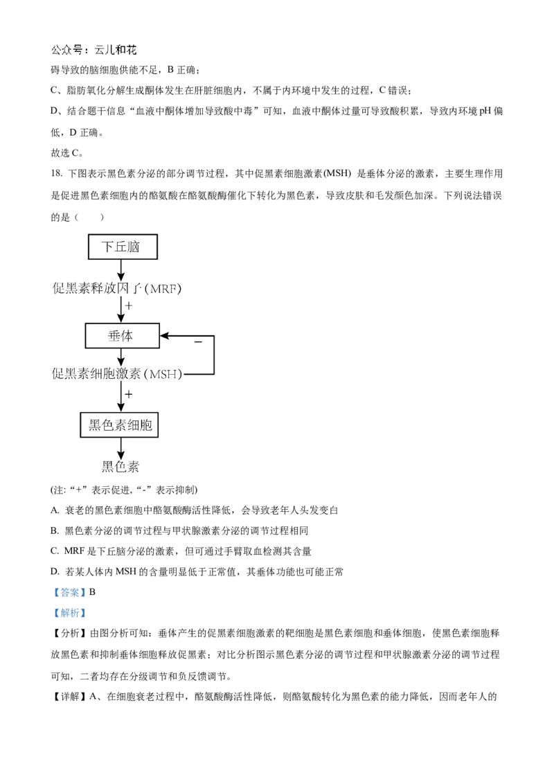 湖北省宜昌一中、荆州中学2024-205学年高二上学期10月联考生物试卷Word版含解析_2024-2025高二（7-7月题库）_2024年11月试卷