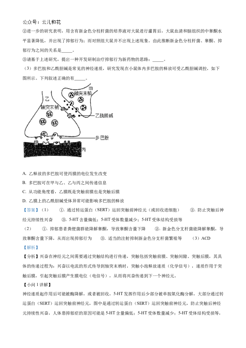 湖北省宜昌一中、荆州中学2024-205学年高二上学期10月联考生物试卷Word版含解析_2024-2025高二（7-7月题库）_2024年11月试卷