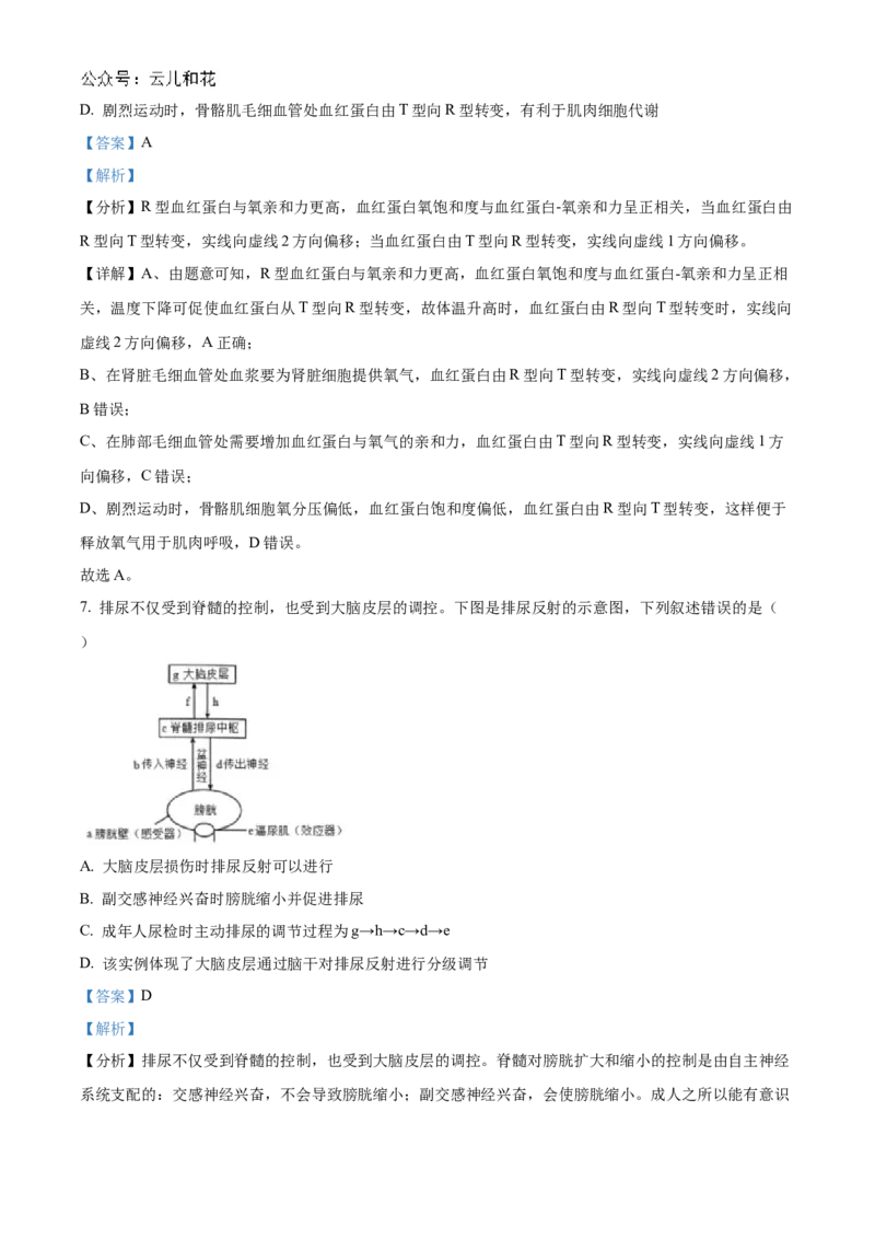 湖北省宜昌一中、荆州中学2024-205学年高二上学期10月联考生物试卷Word版含解析_2024-2025高二（7-7月题库）_2024年11月试卷