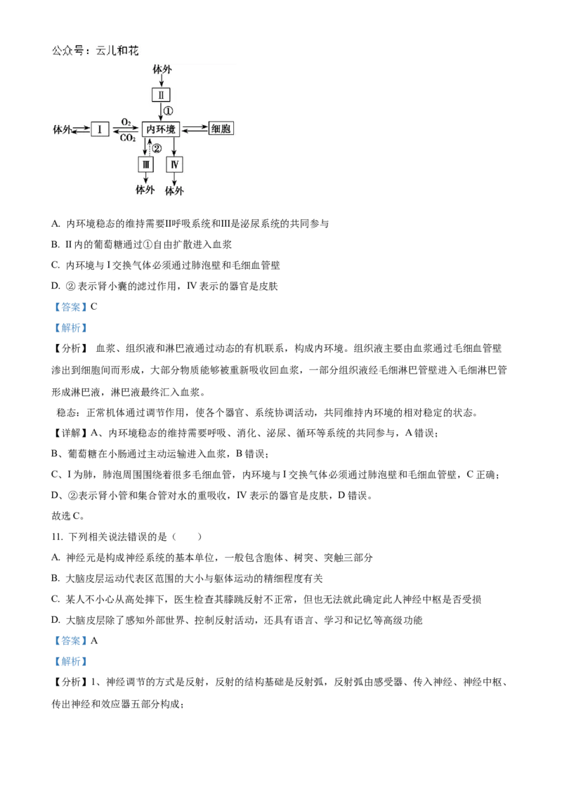 湖北省宜昌一中、荆州中学2024-205学年高二上学期10月联考生物试卷Word版含解析_2024-2025高二（7-7月题库）_2024年11月试卷