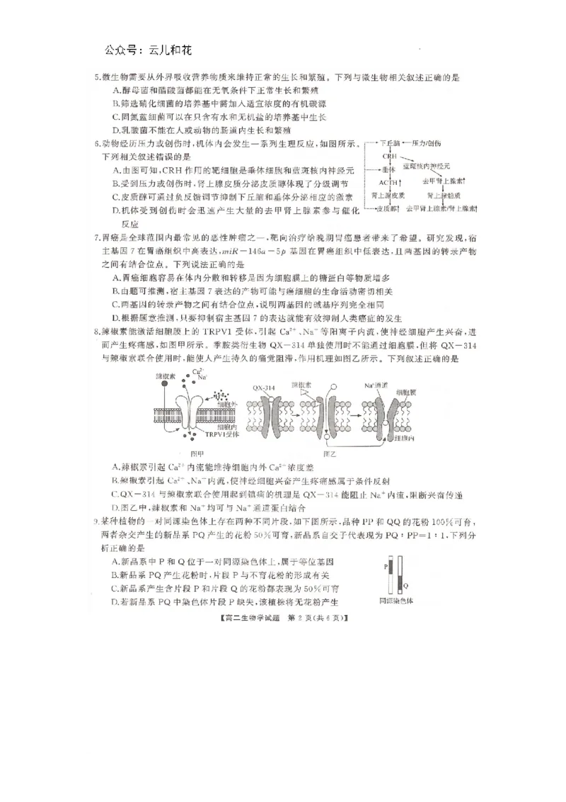 湖南省部分学校2023-2024学年高二下学期7月期末考试生物试题_2024-2025高二（7-7月题库）_2024年07月试卷_0706湖南省三湘名校联盟天壹名校联盟2024年高二期末考试