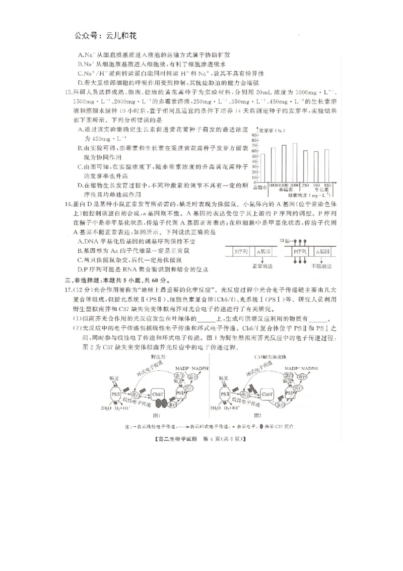 湖南省部分学校2023-2024学年高二下学期7月期末考试生物试题_2024-2025高二（7-7月题库）_2024年07月试卷_0706湖南省三湘名校联盟天壹名校联盟2024年高二期末考试