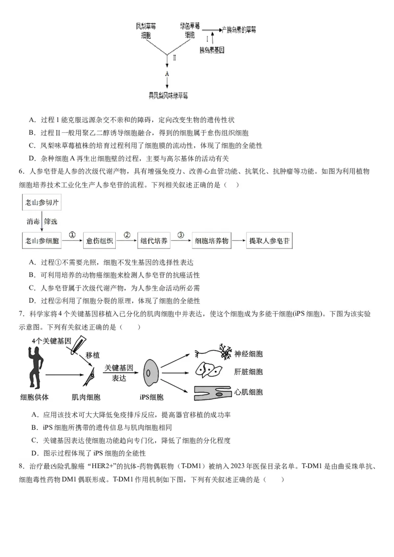 河北省保定市唐县第一中学2024-2025学年高二下学期4月期中生物学试题（含答案）_2024-2025高二（7-7月题库）_2025年04月试卷(1)_0409河北省唐县第一中学2024-2025学年高二下学期4月期中