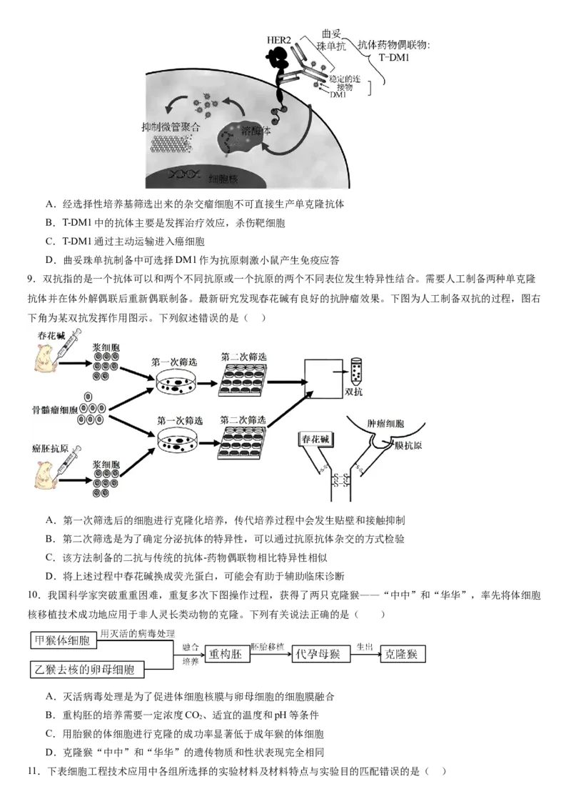 河北省保定市唐县第一中学2024-2025学年高二下学期4月期中生物学试题（含答案）_2024-2025高二（7-7月题库）_2025年04月试卷(1)_0409河北省唐县第一中学2024-2025学年高二下学期4月期中