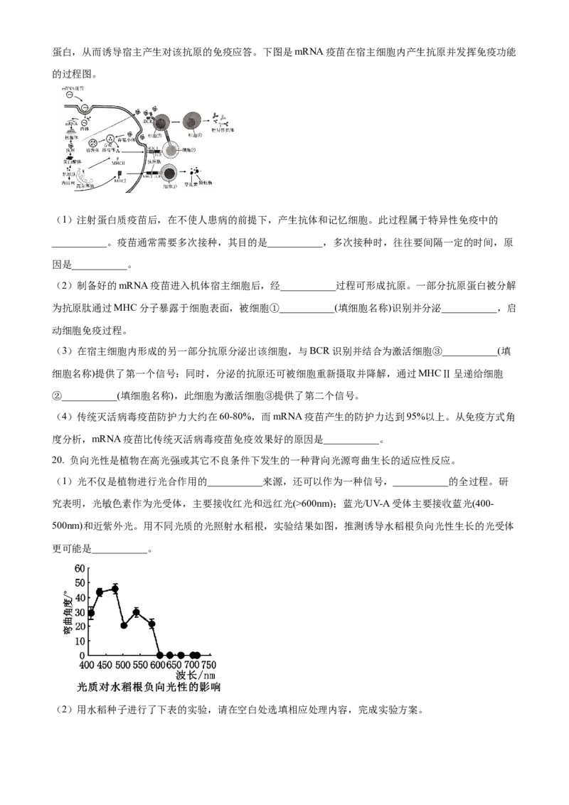江西省抚州市2024--2025学年高二上学期期末统考生物试题Word版无答案_2024-2025高二（7-7月题库）_2025年03月试卷_0316江西省抚州市2024-2025学年高二上学期期末考试