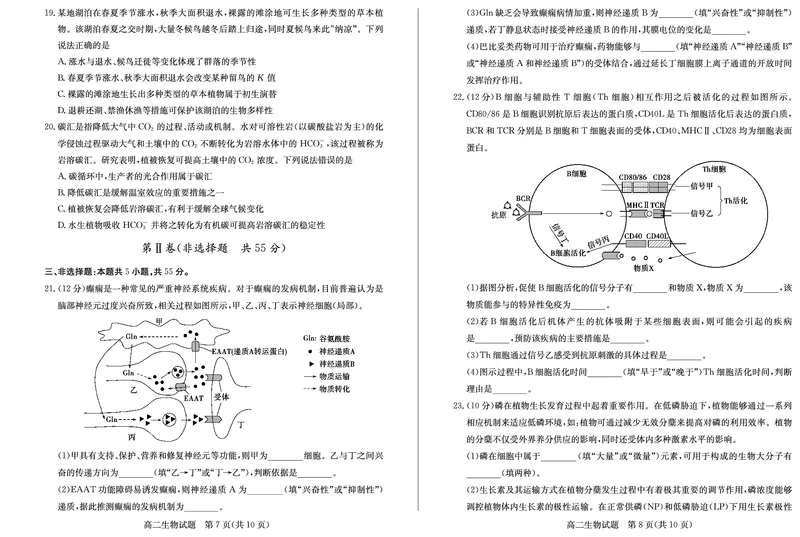 山东省德州市2024-2025学年高二上学期1月联考试题生物PDF版含答案_2024-2025高二（7-7月题库）_2025年02月试卷_0202山东省德州市2024-2025学年高二上学期1月联考试题