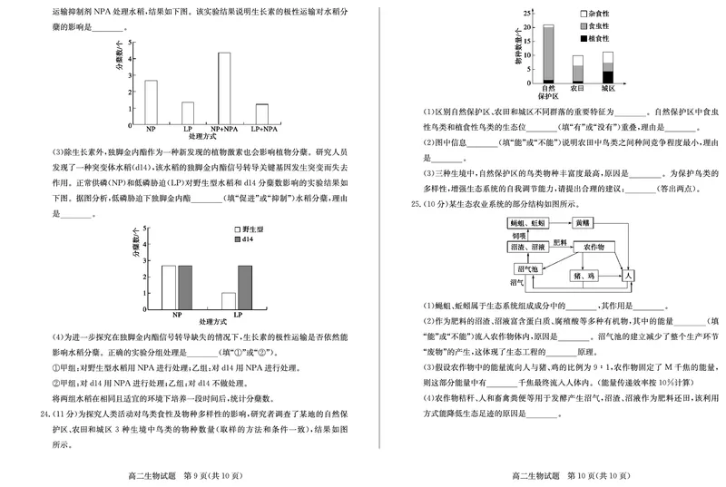 山东省德州市2024-2025学年高二上学期1月联考试题生物PDF版含答案_2024-2025高二（7-7月题库）_2025年02月试卷_0202山东省德州市2024-2025学年高二上学期1月联考试题