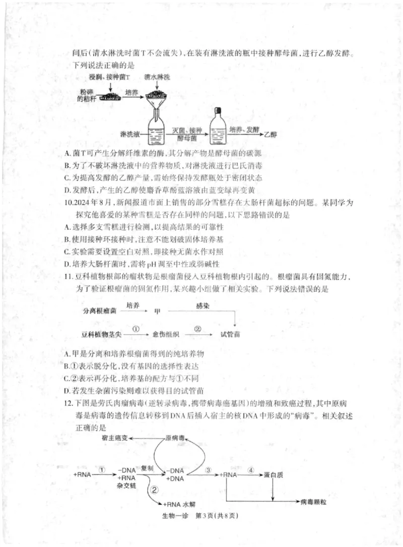 德阳一诊生物试卷_2024-2025高三（6-6月题库）_2024年12月试卷_12052025届四川省德阳市高三第一次诊断考试_2025届四川省德阳市高三第一次诊断考试生物