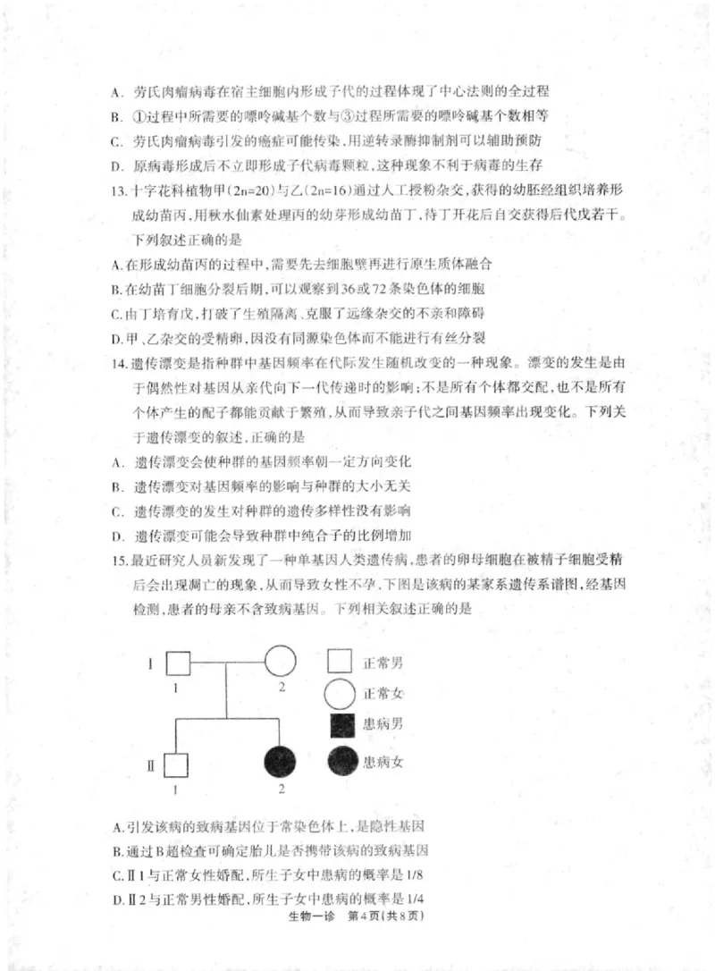 德阳一诊生物试卷_2024-2025高三（6-6月题库）_2024年12月试卷_12052025届四川省德阳市高三第一次诊断考试_2025届四川省德阳市高三第一次诊断考试生物
