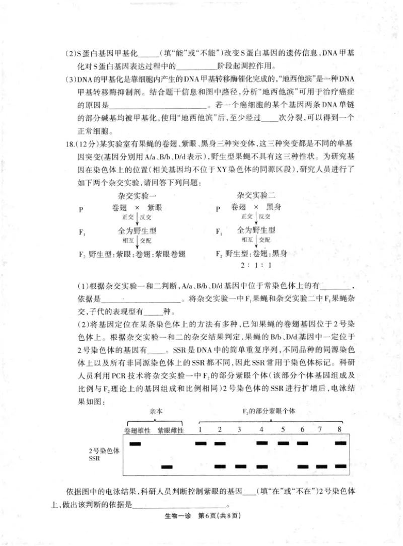 德阳一诊生物试卷_2024-2025高三（6-6月题库）_2024年12月试卷_12052025届四川省德阳市高三第一次诊断考试_2025届四川省德阳市高三第一次诊断考试生物